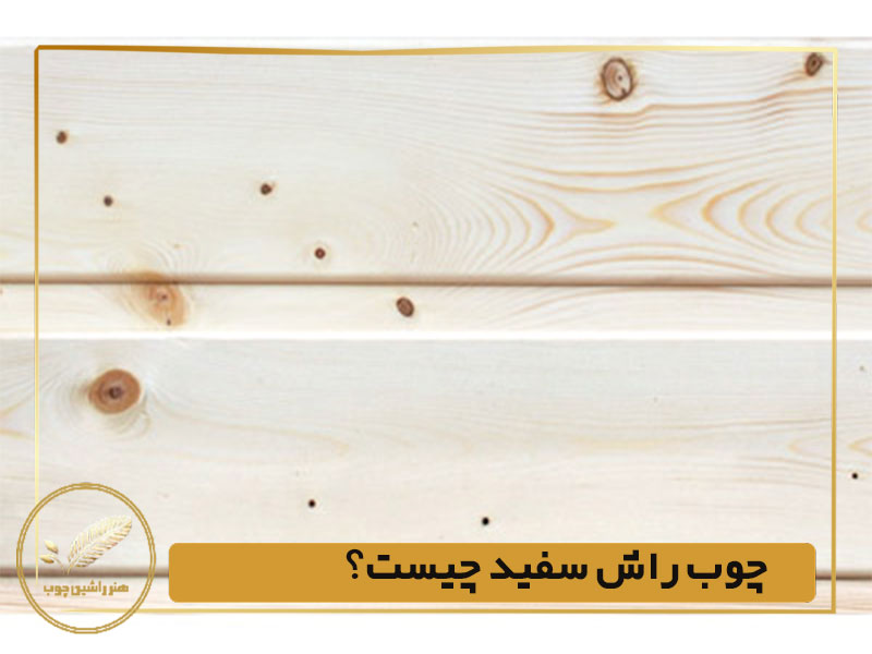 چوب راش سفید چیست؟